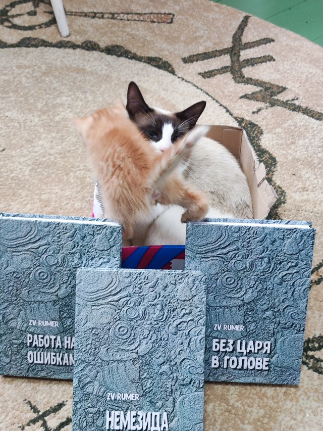Книга ПОВЕСТИ
