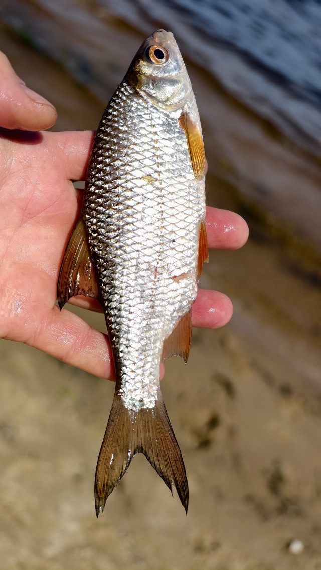 Сплав по Волге, ночевка на острове с пляжем.