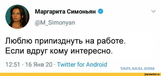 «свобода слова»