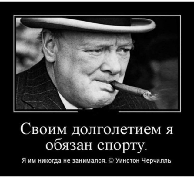80% урона нанёс тренер