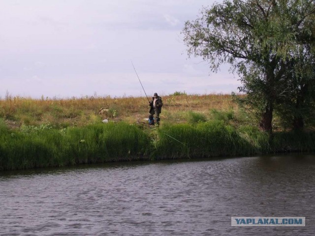 Отдых на Ахтубе. Автотуристам-рыбакам посвящается.