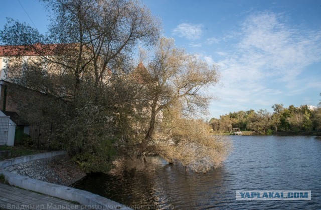 Умирающий ВДНХ