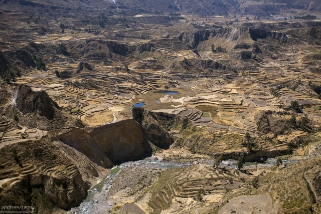 Перу: путешествие в ущелье Colca