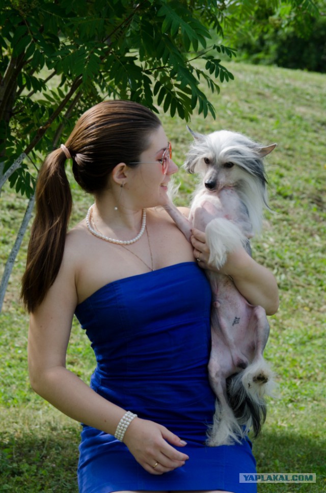 Собакочетверг на 02.01.2014