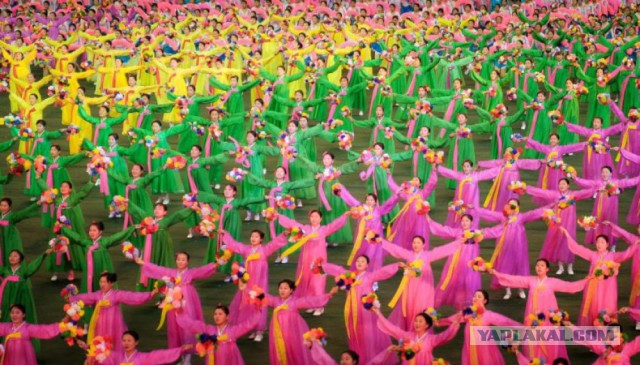 28 самых удачных кадров февраля