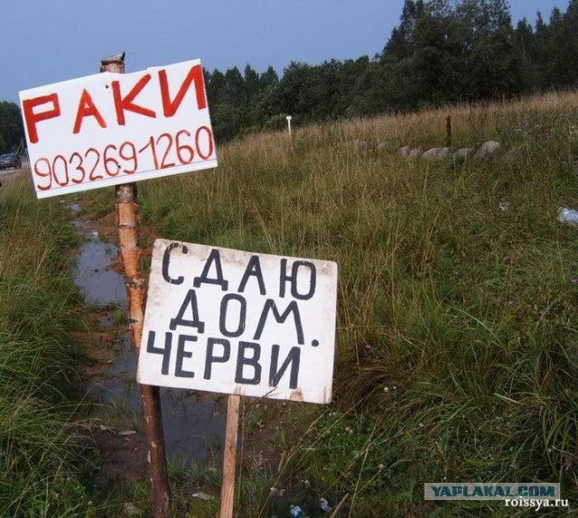 Тема для юмора