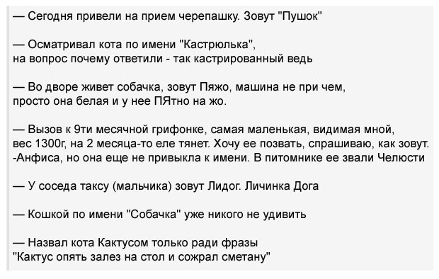 Как назвать питомца