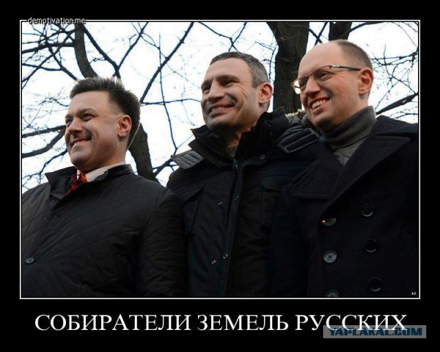Горина - свободовцам: вы - звезды Кремля!