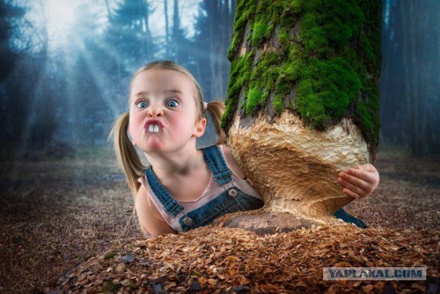 Фотки из интернета.