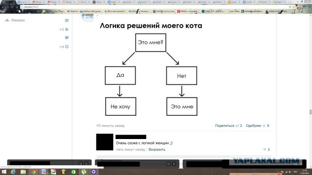 Смешные комментарии из социальных сетей (40 фото)