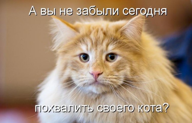 Инструкция по выживанию на ЯПе