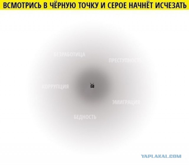 За что стоит уважать Владимира Путина?