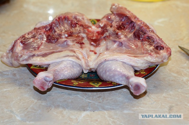 Тема памяти БоРмАnа и Дженибека, Готовим по рецептам ребят