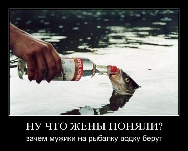 почему на рыбалке нельзя есть семечки?