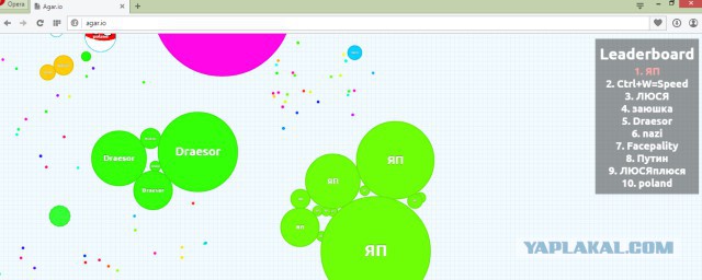 Симулятор жизни: agar.io