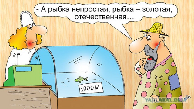 Импортозамещение. Миллиарды, вложенные впустую.