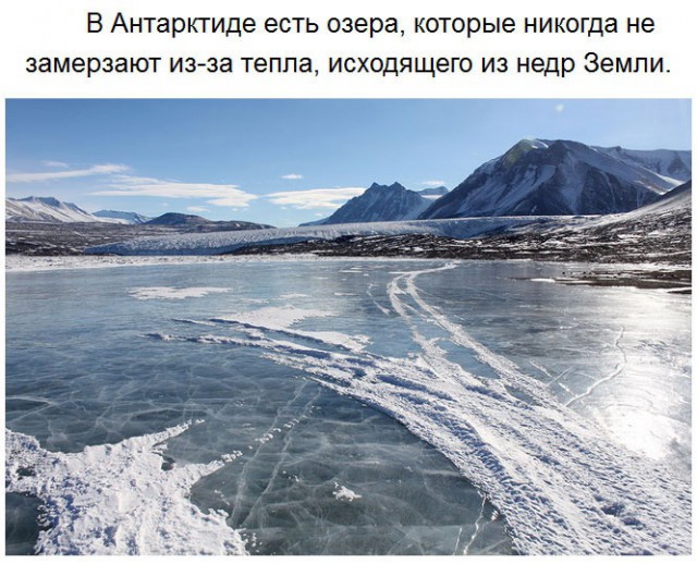 Чего мы не знали об Антарктиде