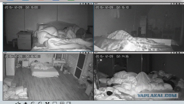 За что я люблю китайцев