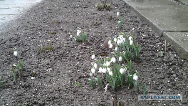 Я узнал, что у меня есть огромная семья