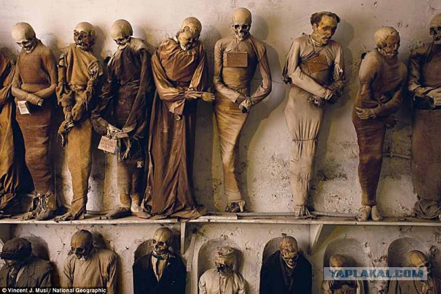 Несколько жутких исторических фотографий