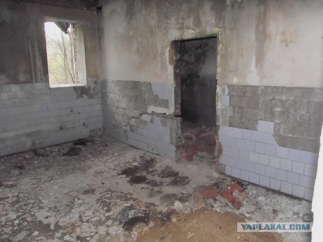 Еду искать Дальневосточный гектар.