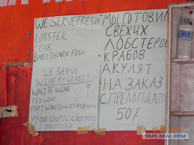 Снимки повседневной жизни в Индии