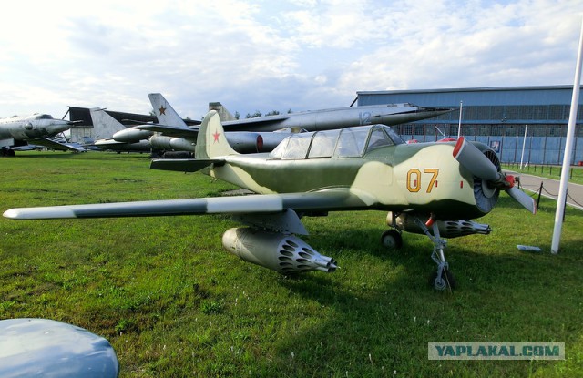 Польский штурмовик