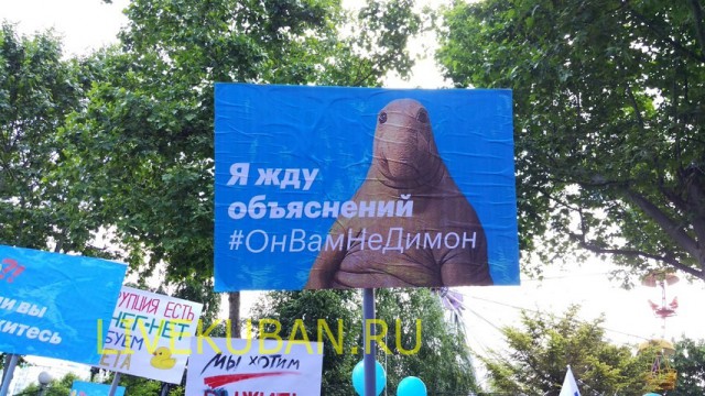Митинг в Краснодаре. Без рефлексий
