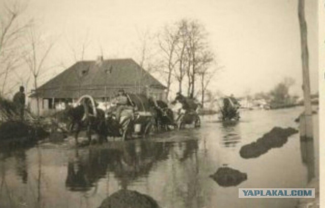 Перед расстрелом: редкие фотографии российской царской семьи
