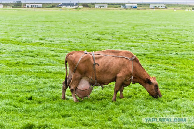 До чего дошел прогресс