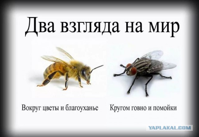 Как живут люди у моря: Владивосток и Сан-Франциско