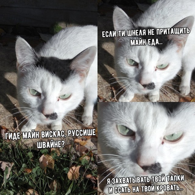 Нестандартный юмор