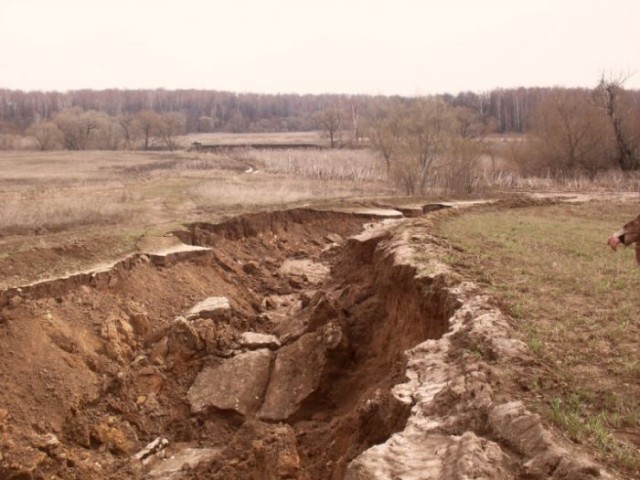 Дорога в Московской области