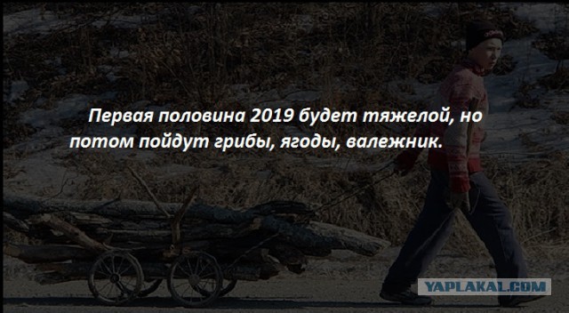 «Левада-центр»: Путин за два года растерял треть доверяющих ему россиян