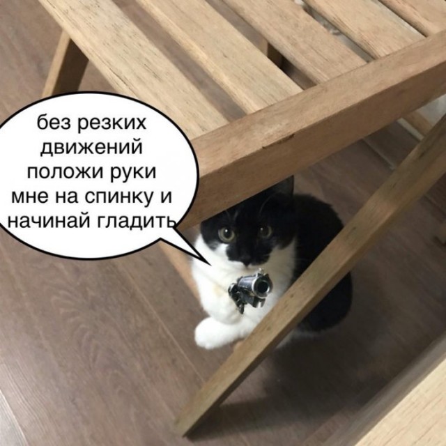 Немного картинок для настроения 19.02.20