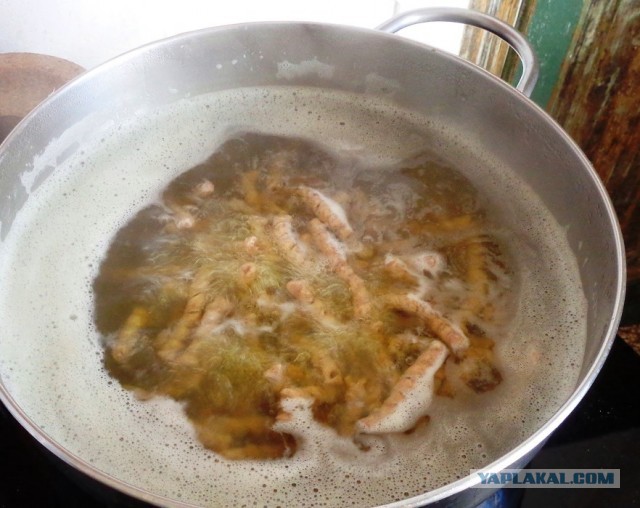 Лапша лугового флота свободного выгула