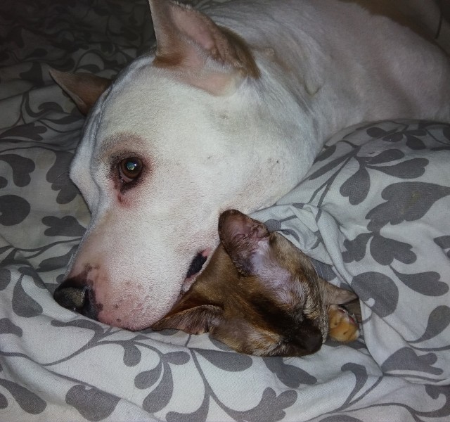 Доброты и милоты вам в ленту