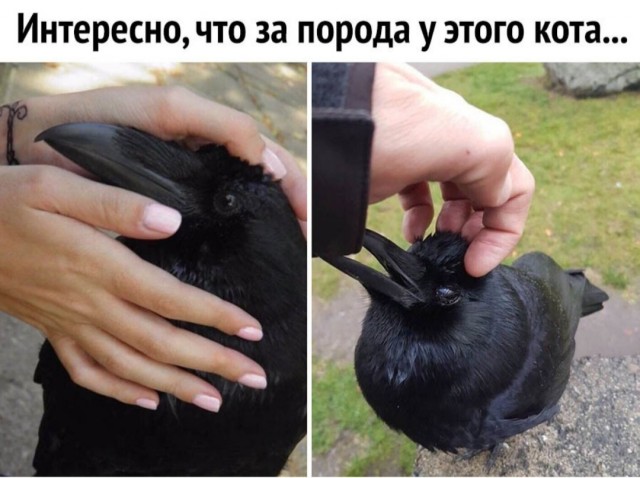 Бредзона 27.10.2020