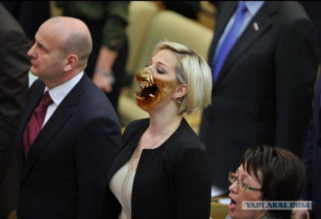 Фотожаба: Депутатка 80 lvl