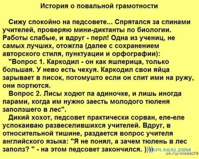 6 ошибок в русском языке, которые стали эпическими: 9 вити эташка, вкрации и другие