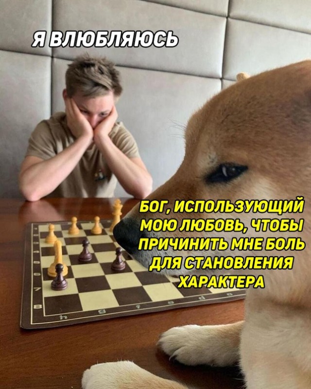 Весёлый полтишок 21.06.2021