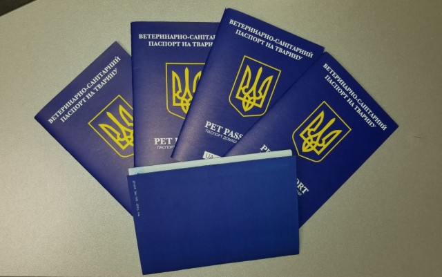 Израиль попал в круг «бесконечных прививок» от коронавируса: рано ликовали