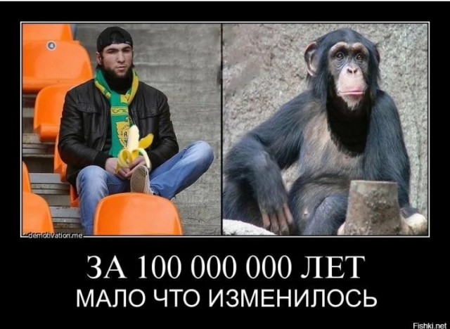 Дагестанцы подрались с охранниками в ТЦ Европолис в Ростокино