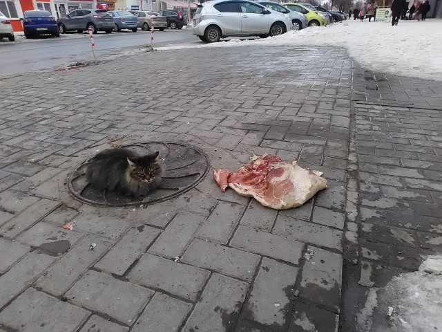А у вас есть питомец "на стороне"?