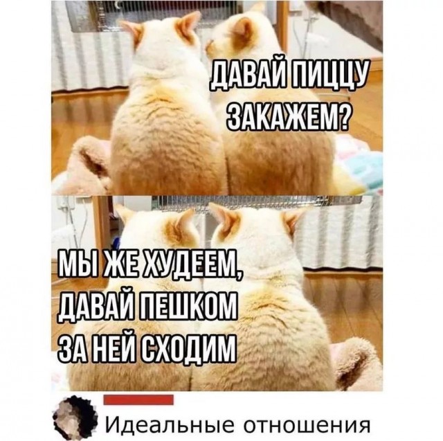 С понедельником Вас, дорогие деграданты