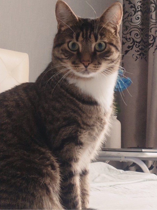 А что, уже вторник?
