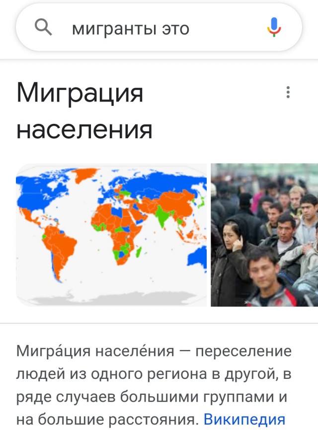 Крупнейшая спецоперация по пресечению незаконной миграции на сухопутных границах Европы