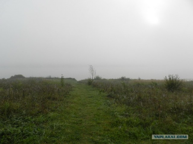 Рыбалки псто