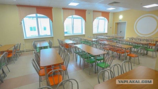 В Сибири вором назвали школьника, съевшего в столовой чужую «особо вкусную» порцию