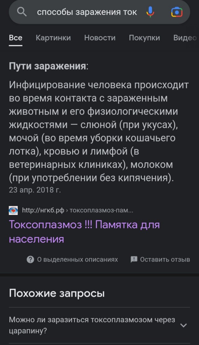 Мэр Бодайбо обвинил депутатов Госдумы в «собачьем лобби» и снова потребовал уничтожать бродячих животных